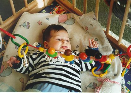 {short description of image}