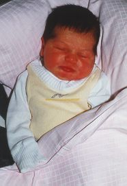 {short description of image}